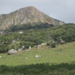 Gorongosa National Park